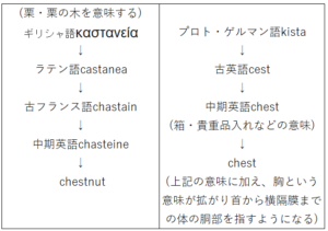 chestnutとchestの語源比較