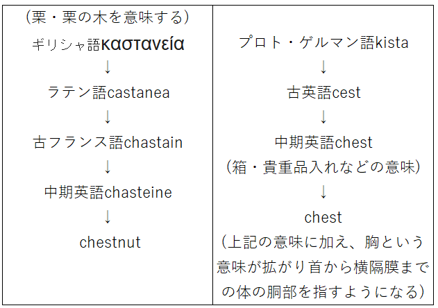 chestnutとchestの語源比較