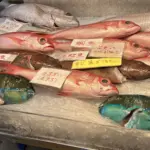 A photo of fish market in Okinawa
