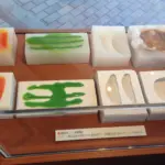 Moldes de silicona para muestras de comida. 