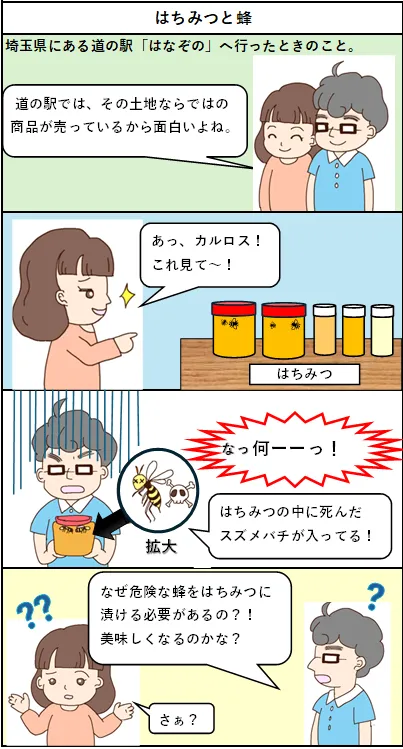 NIppon-gurashi エッセイ4コマ漫画第11話日本語版 はちみつと蜂